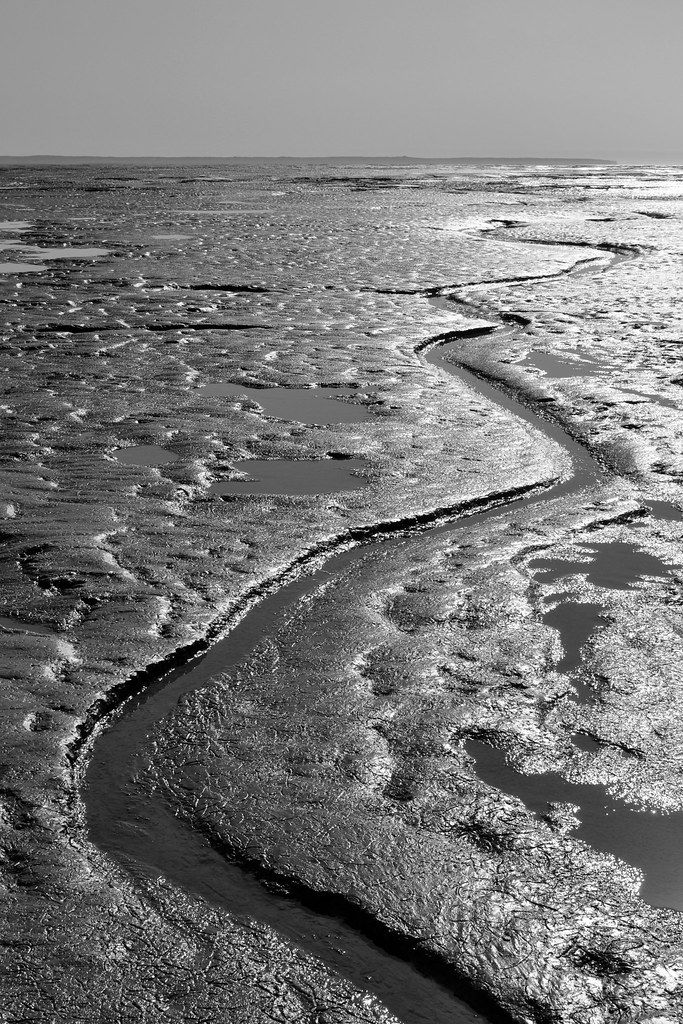 Low Tide