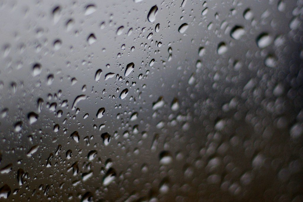 The Archive of Rain